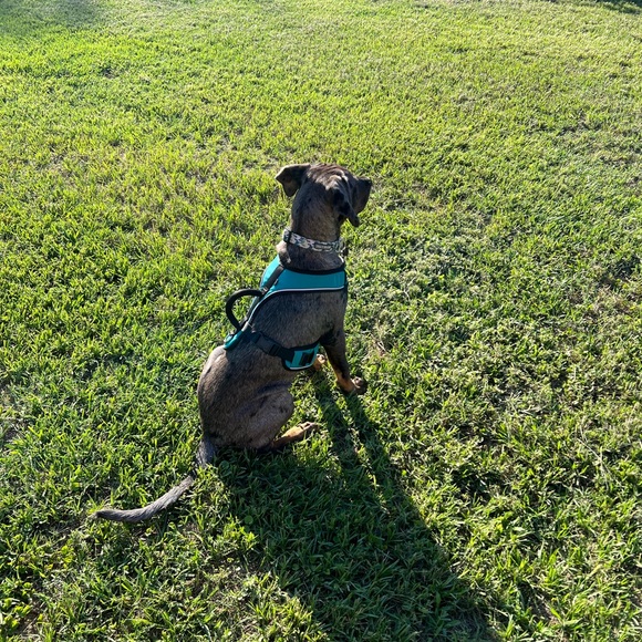 Welcome to Second Chance Alley! I know you will enjoy my fun and funky closet. - Picture 5 of 16